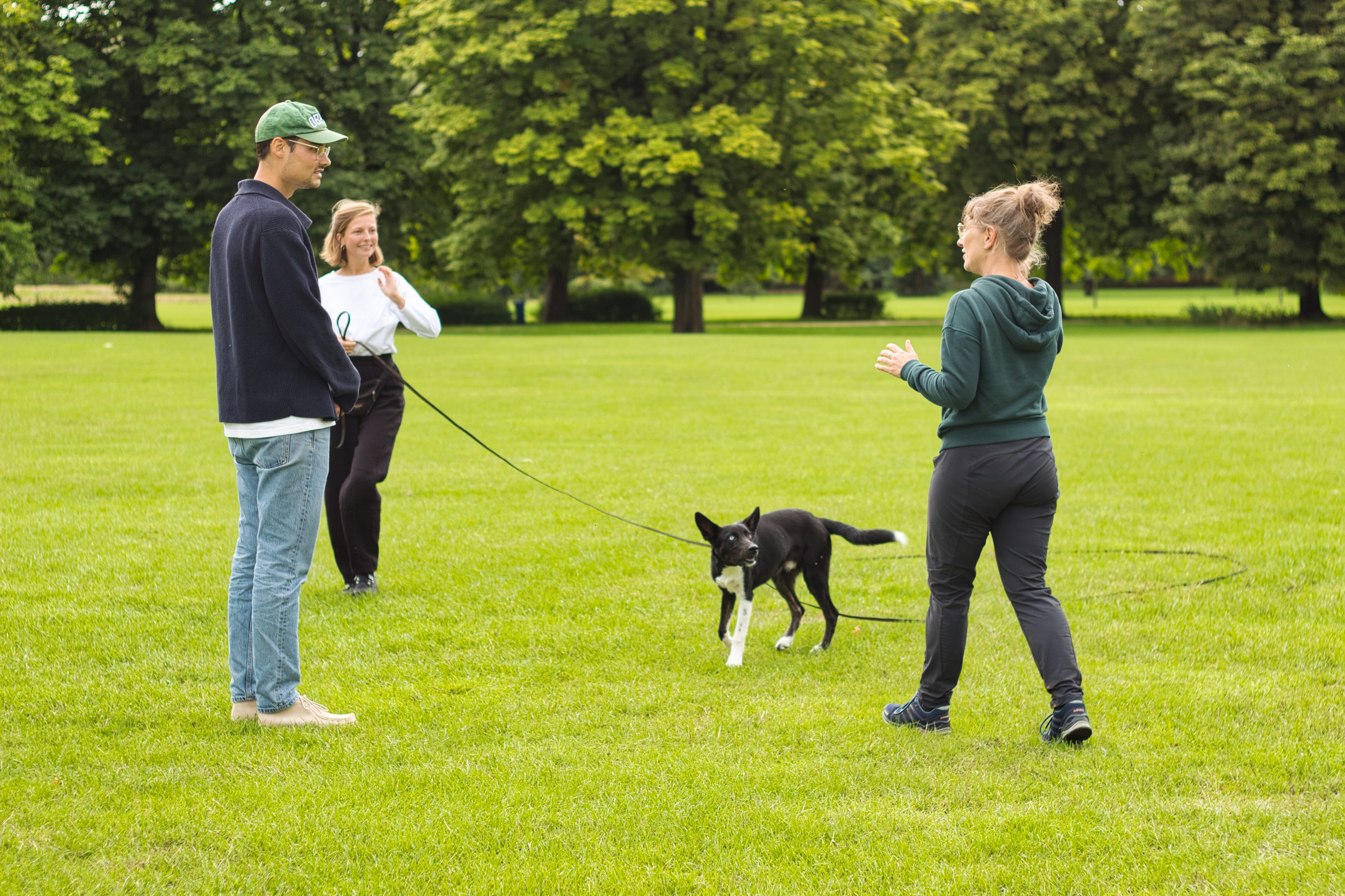DRIFT Hondentraining - Individuele begeleiding